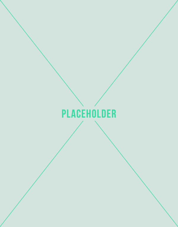 placeholder_vert02