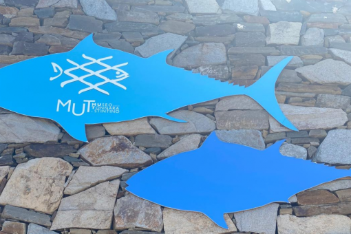 IL MUT DI STINTINO: UN’ESTATE DI CULTURA, SCOPERTA E COMUNITÀ
